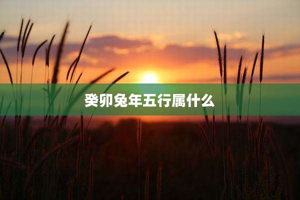 癸卯兔年五行属什么