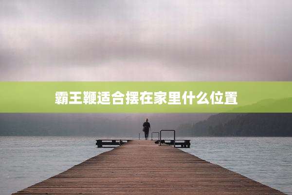 霸王鞭适合摆在家里什么位置