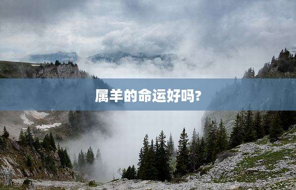 属羊的命运好吗?