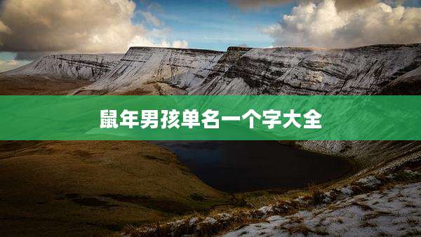 鼠年男孩单名一个字大全