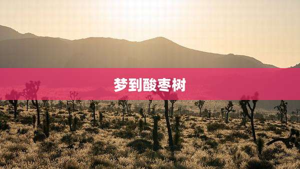 梦到酸枣树