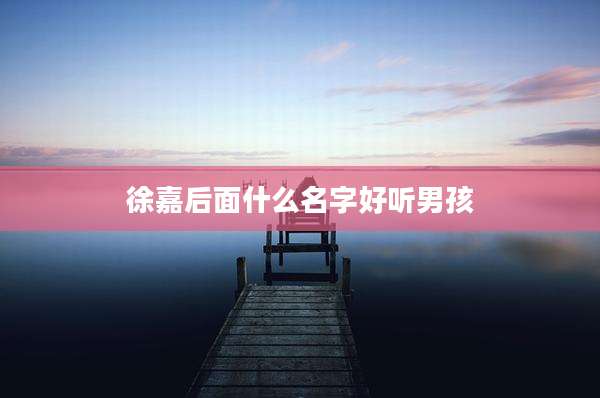 徐嘉后面什么名字好听男孩