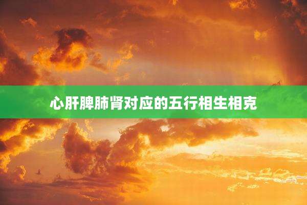 心肝脾肺肾对应的五行相生相克