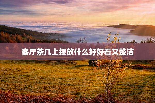 客厅茶几上摆放什么好好看又整洁