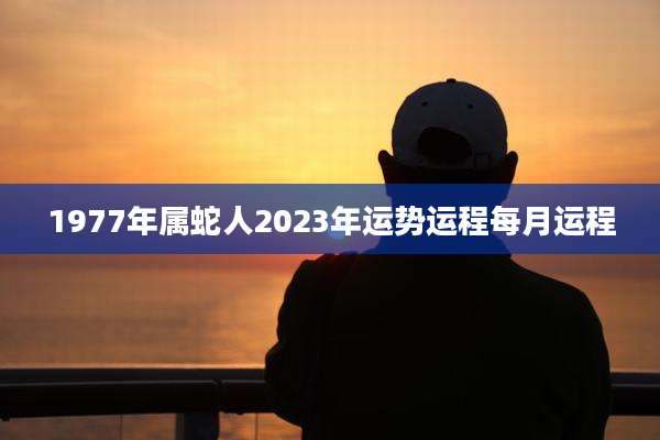 1977年属蛇人2023年运势运程每月运程
