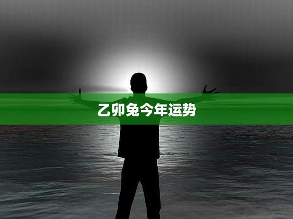 乙卯兔今年运势