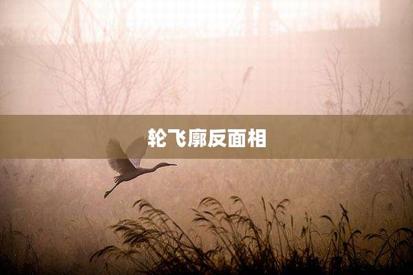 轮飞廓反面相