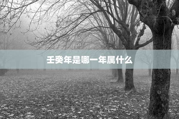 壬癸年是哪一年属什么