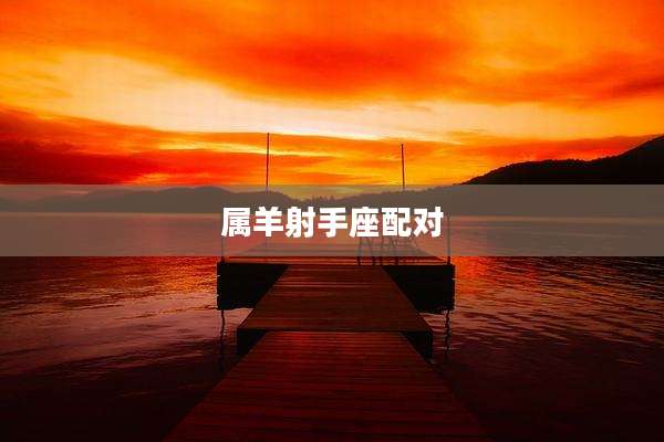 属羊射手座配对