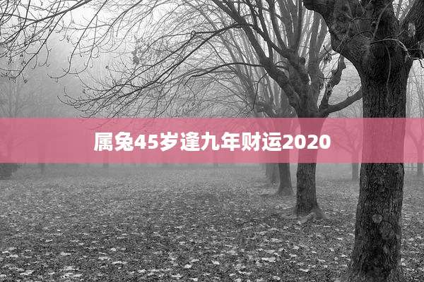 属兔45岁逢九年财运2020