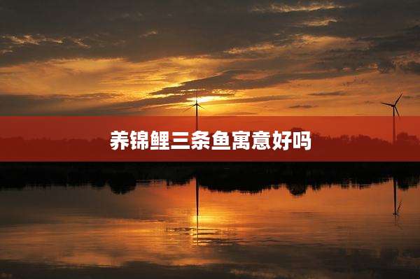 养锦鲤三条鱼寓意好吗