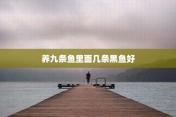 养九条鱼里面几条黑鱼好