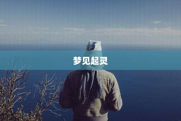 梦见起灵