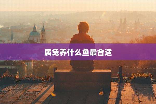 属兔养什么鱼最合适