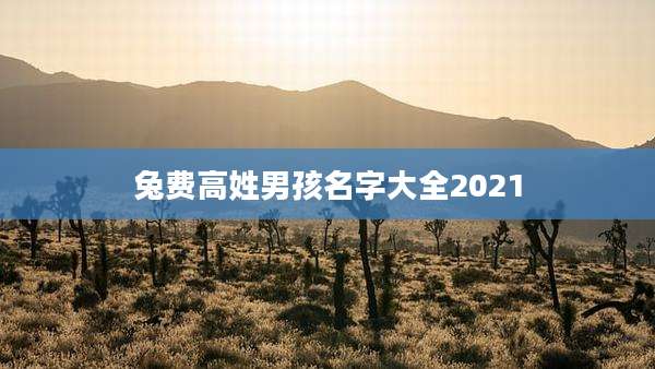 兔费高姓男孩名字大全2021