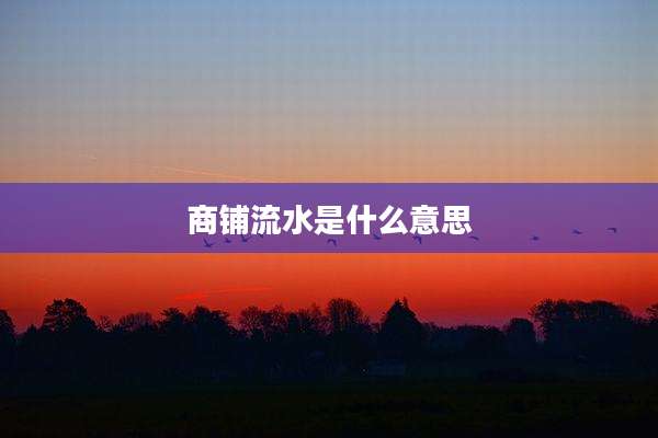 商铺流水是什么意思