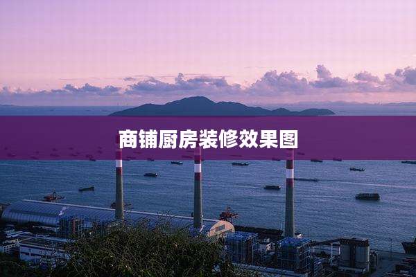 商铺厨房装修效果图