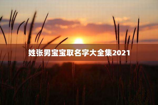姓张男宝宝取名字大全集2021
