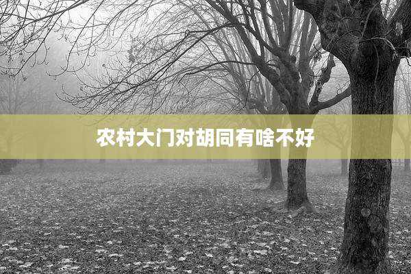 农村大门对胡同有啥不好