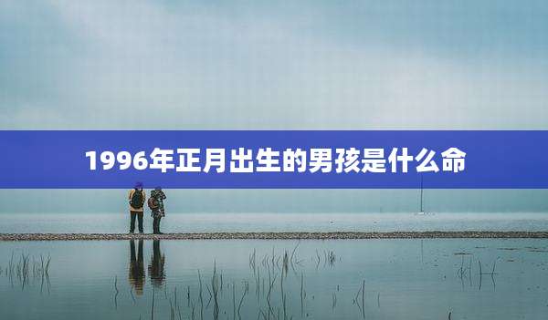 1996年正月出生的男孩是什么命