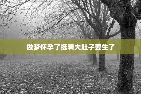 做梦怀孕了挺着大肚子要生了
