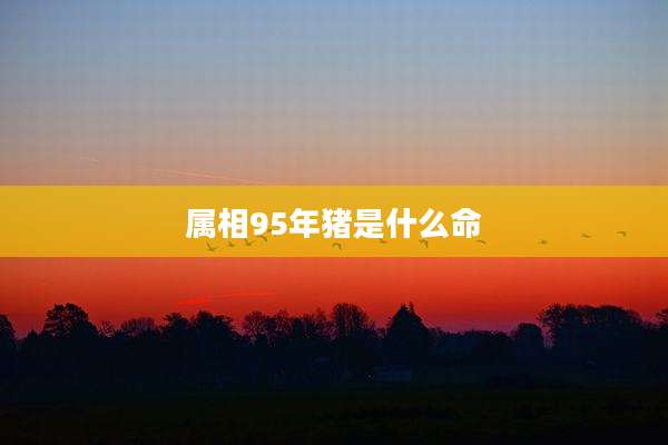 属相95年猪是什么命