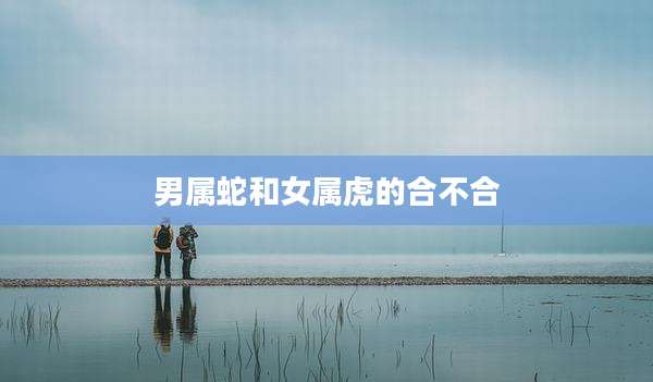 男属蛇和女属虎的合不合