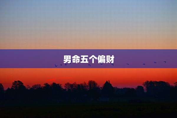 男命五个偏财