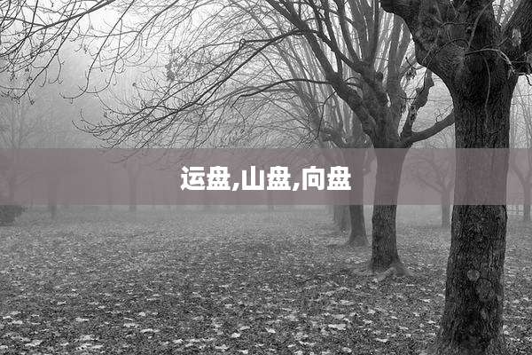 运盘,山盘,向盘