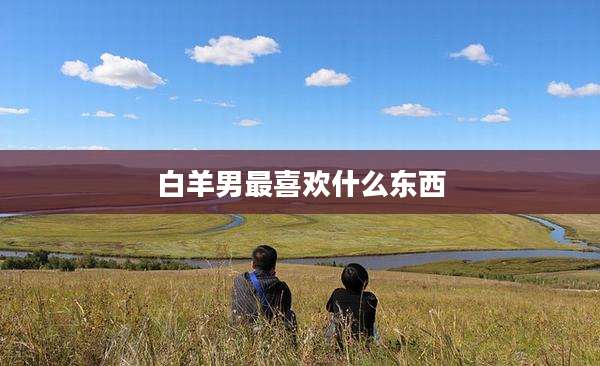 白羊男最喜欢什么东西