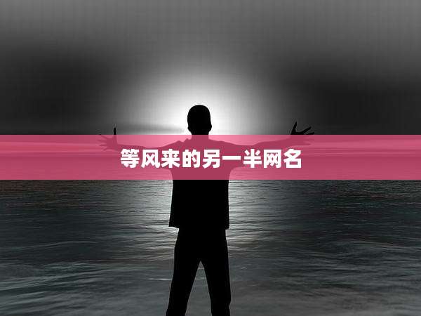 等风来的另一半网名