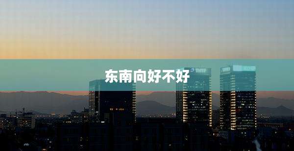 东南向好不好