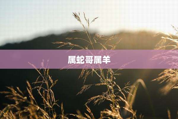 属蛇哥属羊