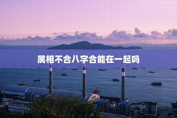 属相不合八字合能在一起吗