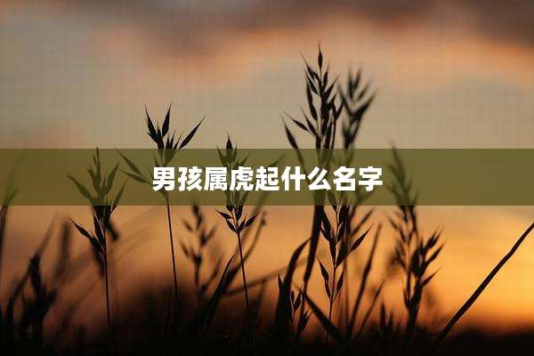 男孩属虎起什么名字