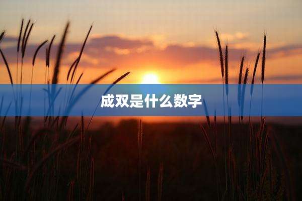 成双是什么数字
