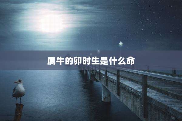 属牛的卯时生是什么命