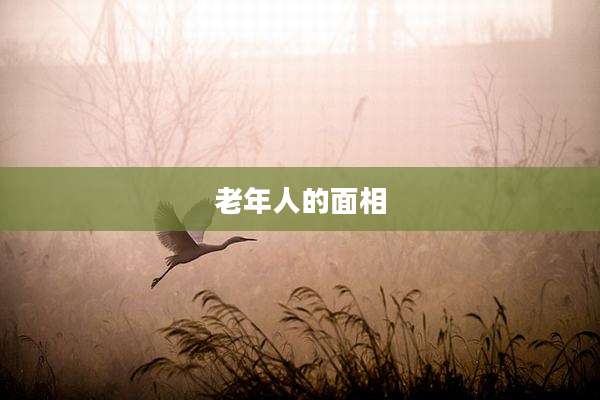 老年人的面相