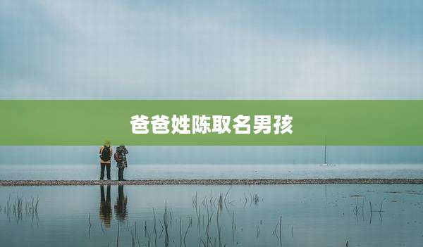 爸爸姓陈取名男孩