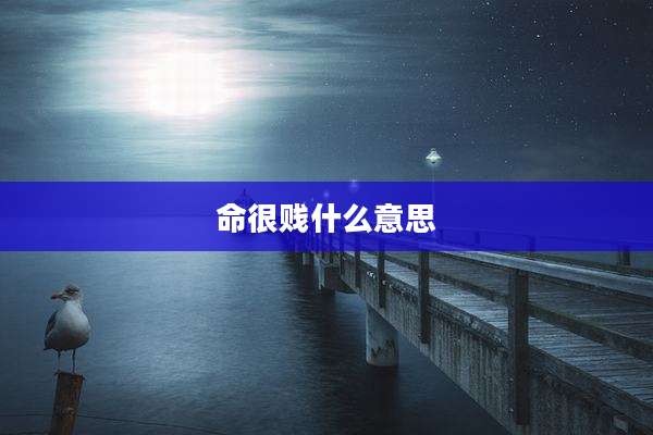 命很贱什么意思