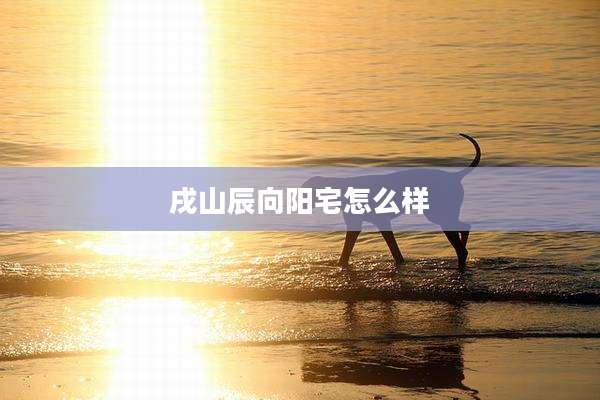 戌山辰向阳宅怎么样