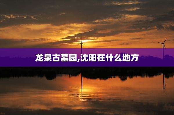 龙泉古墓园,沈阳在什么地方