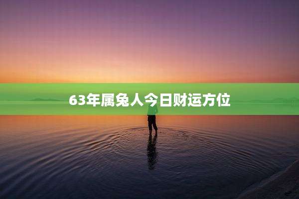 63年属兔人今日财运方位