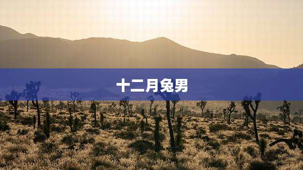 十二月兔男