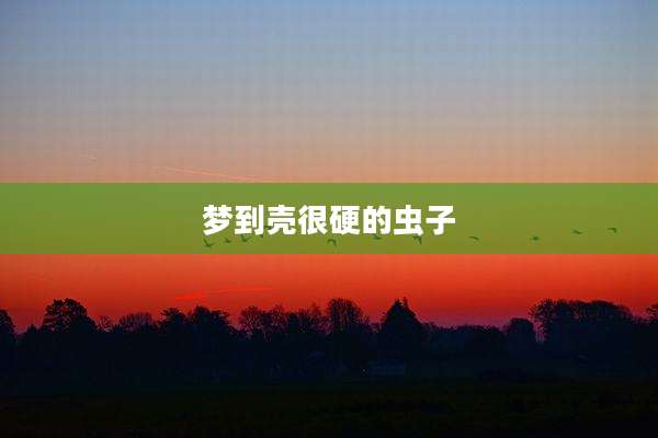 梦到壳很硬的虫子