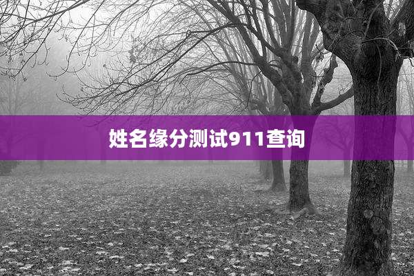 姓名缘分测试911查询