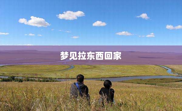 梦见拉东西回家