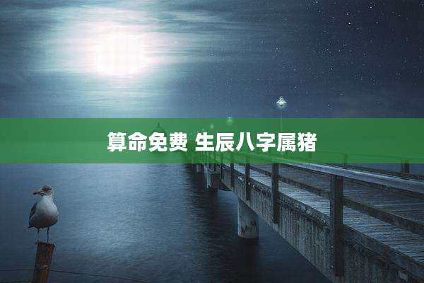 算命免费 生辰八字属猪