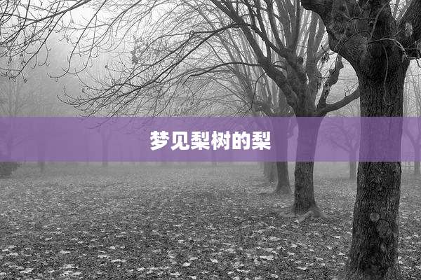 梦见梨树的梨