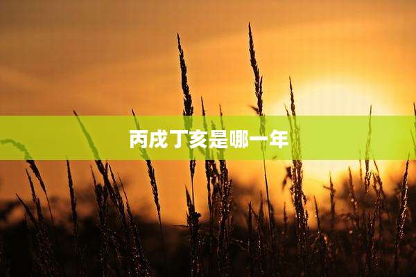 丙戌丁亥是哪一年